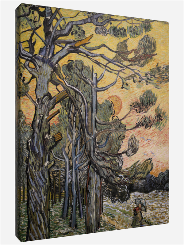 "Pine in the Sunset"