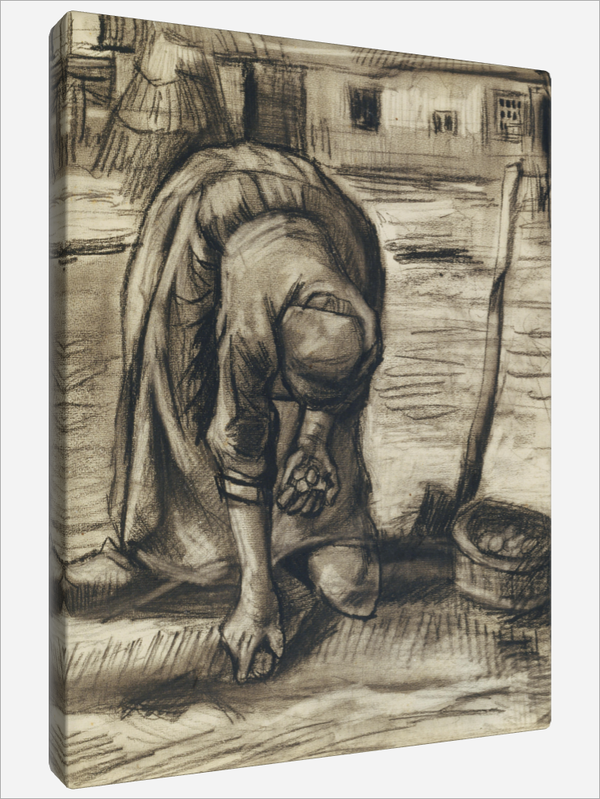 "Planteuse"