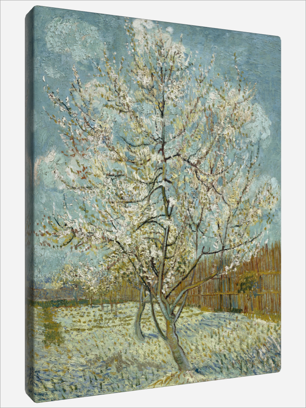 "Pink Peach Tree"