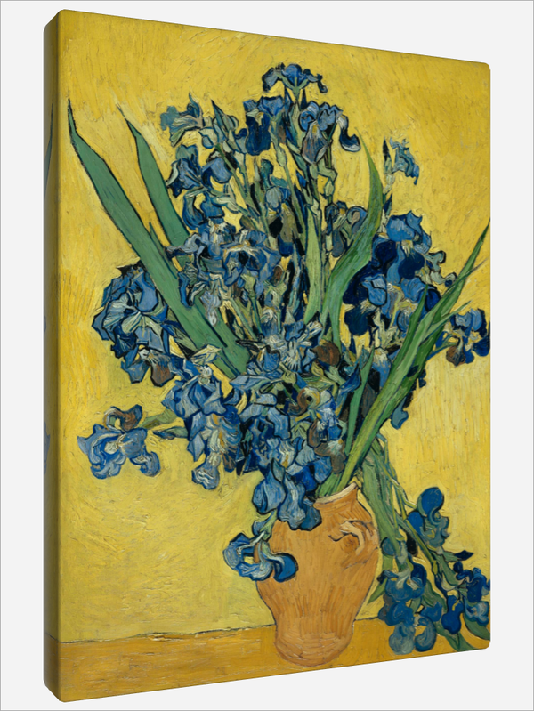 "Irises"