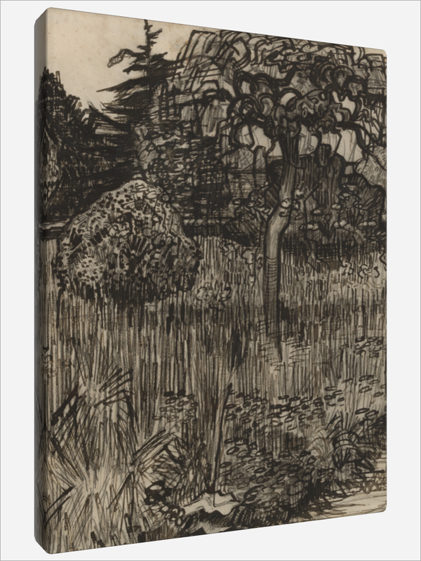 "Weeping Tree"