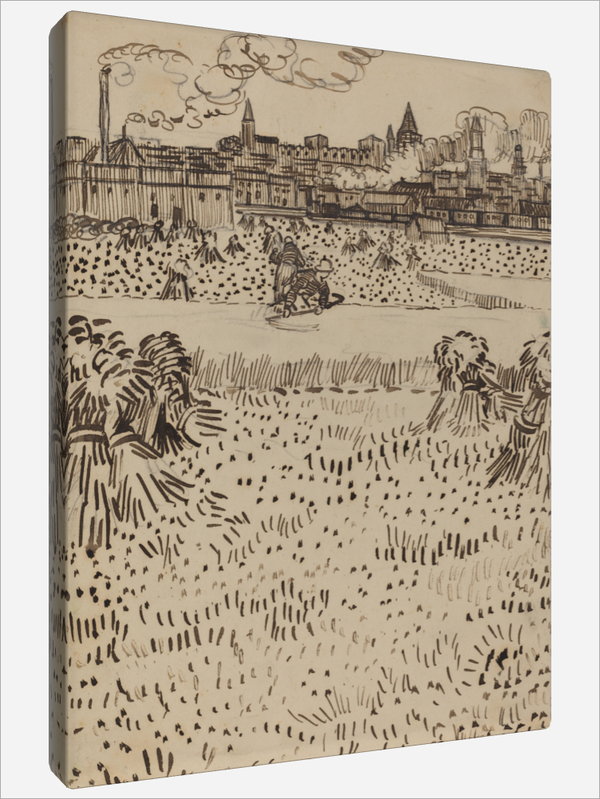 "The Harvest"