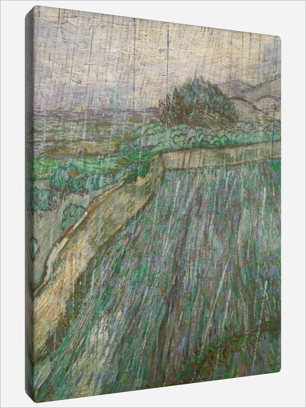 "Rain"