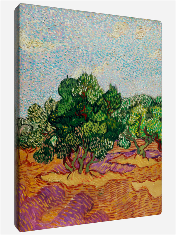 "Olive Trees"