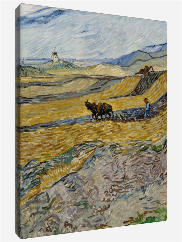 "Enclosed Field"