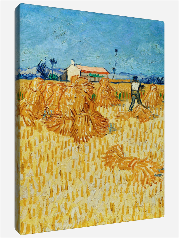 "Harvest in Provence"