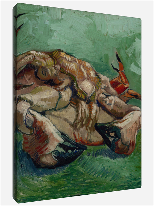 "Crab on its Back"
