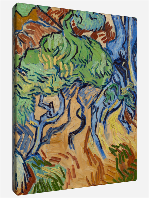 "Tree Roots"