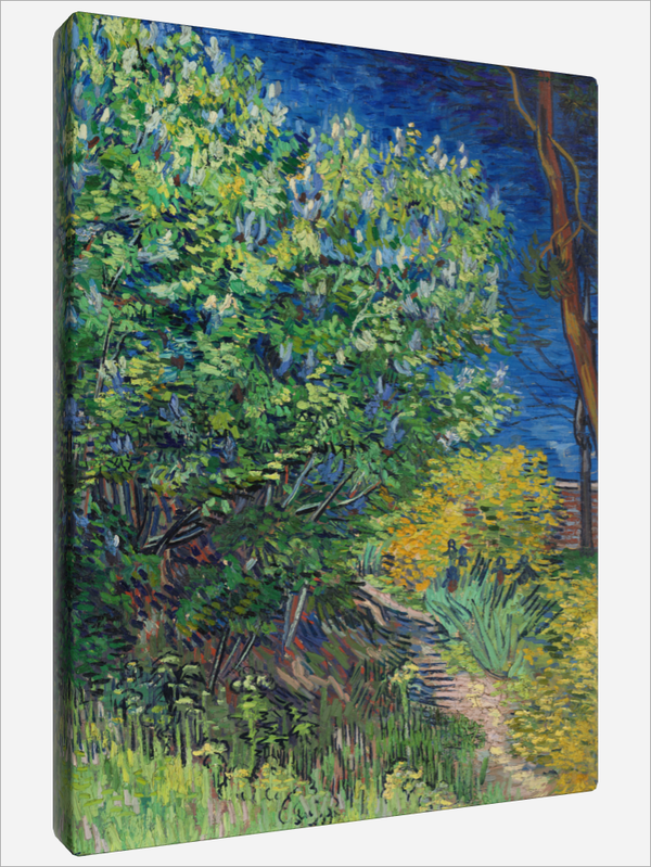 "Lilac Bush"