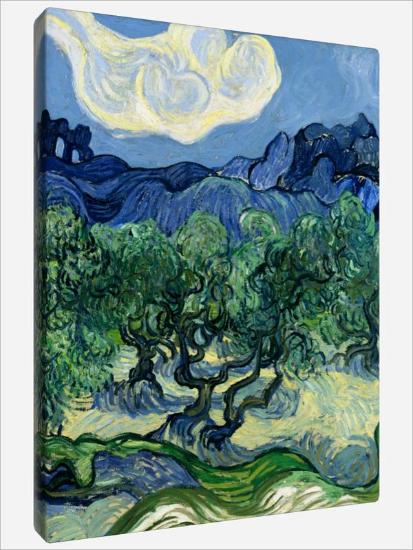 "Olive Trees"