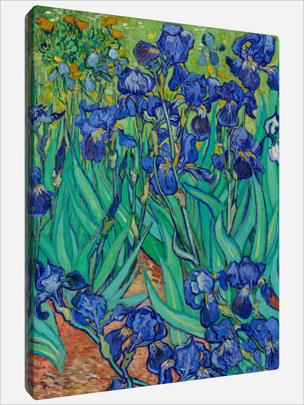 "Irises"
