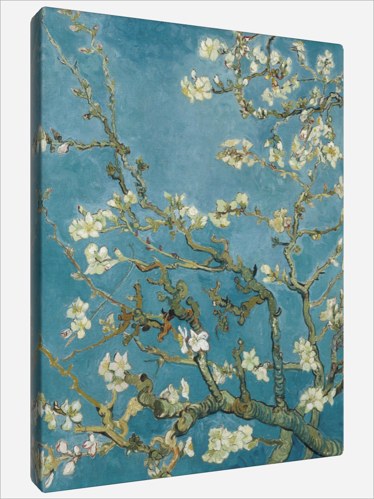 "Almond Blossom"