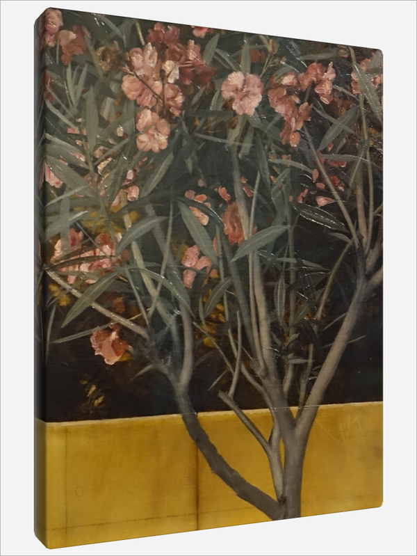 "Oleander Bush"