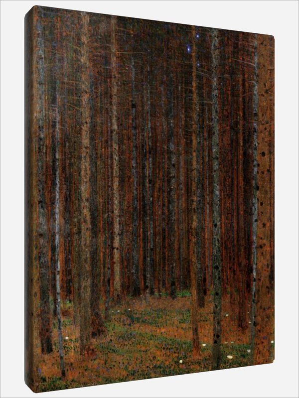 "Fir Forest"