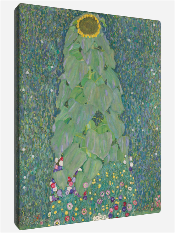 "Sunflower"