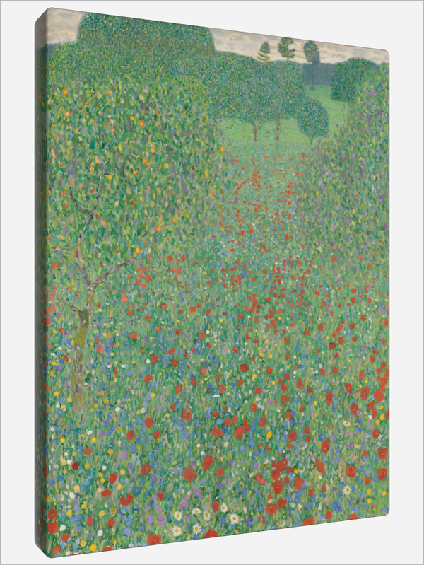 "Blooming Poppies"