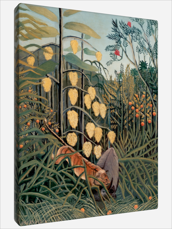 "In a Tropical Forest"