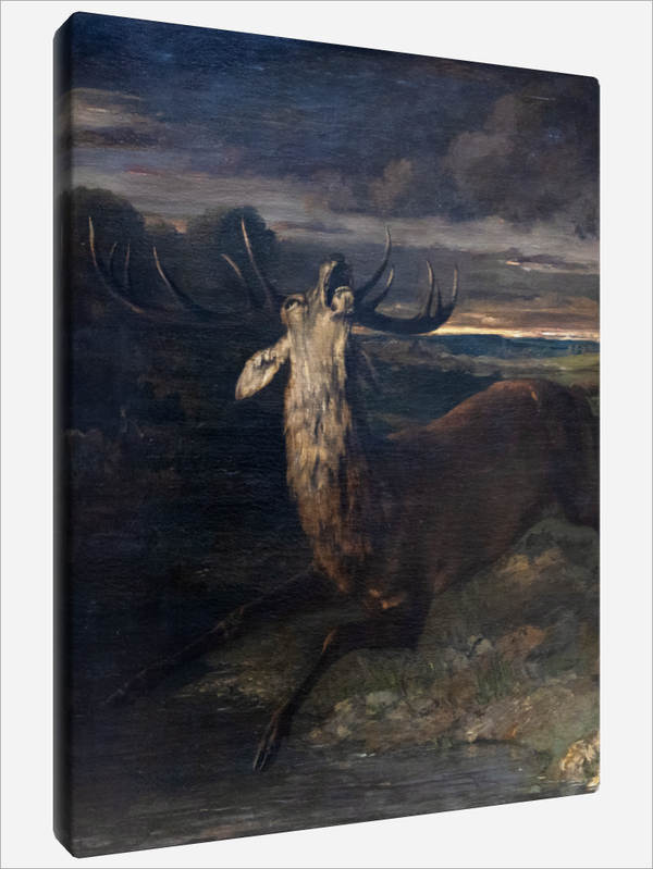 "The Stag at Bay"