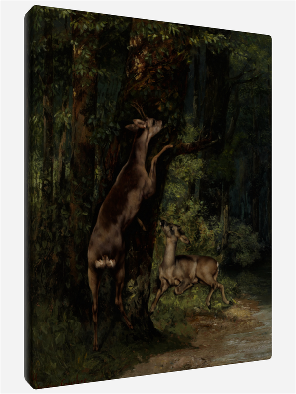 "Deer in the Forest"