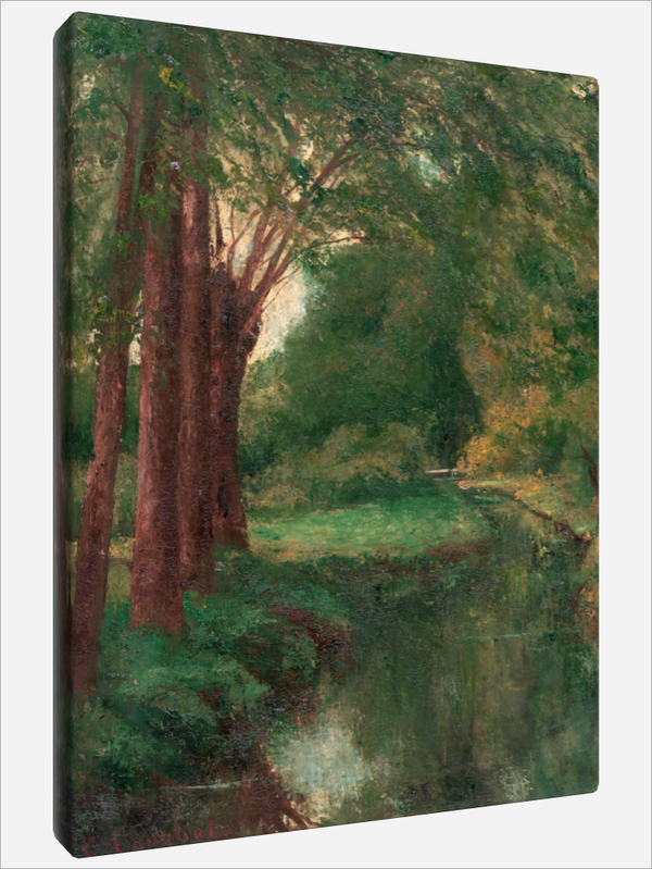 "A Brook in a Clearing"