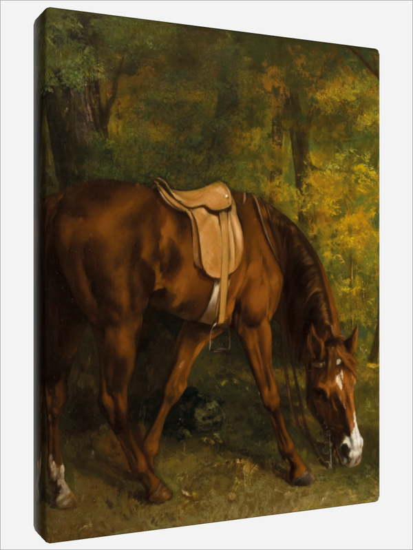 "The Fox Hunt"