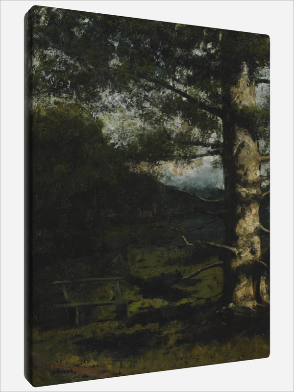 "The Hauteville Cedar"