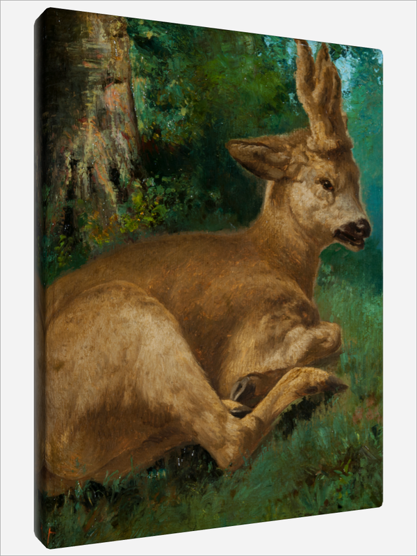 "Roebuck"