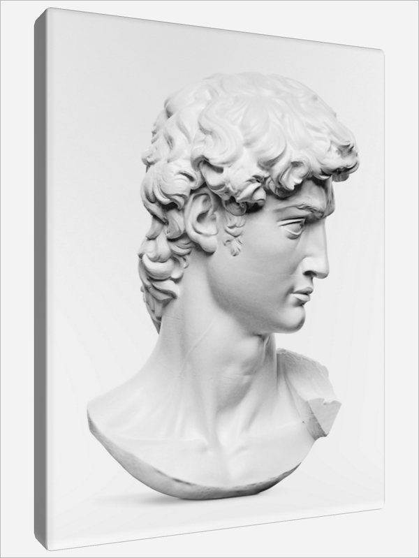 "David Statue's Head"