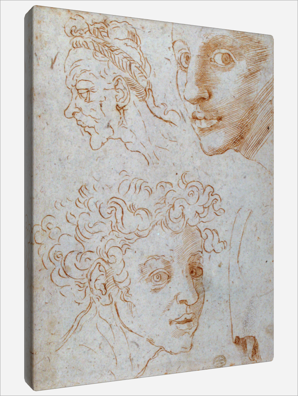 "Three Heads"