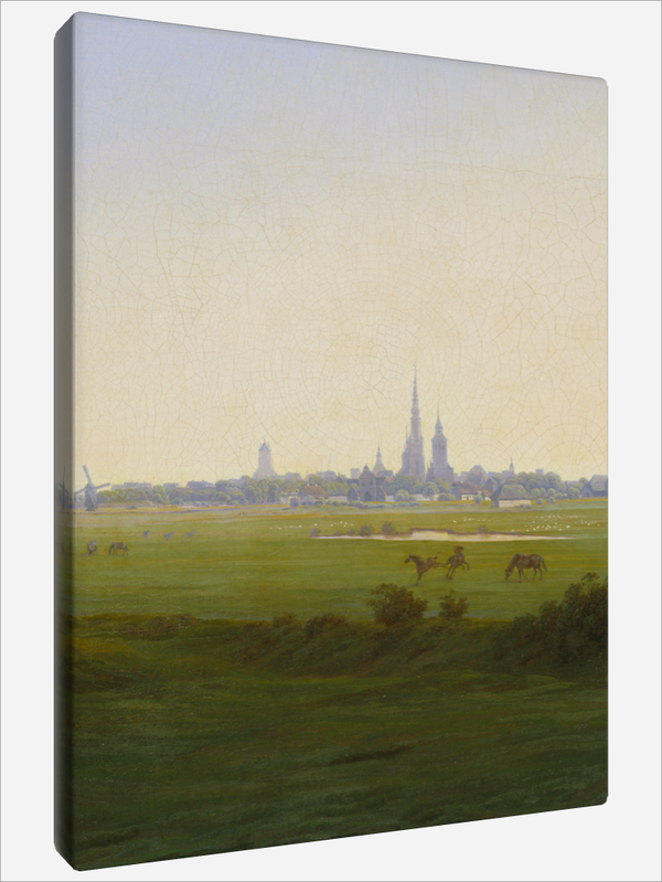 "Meadows near Greifswald"