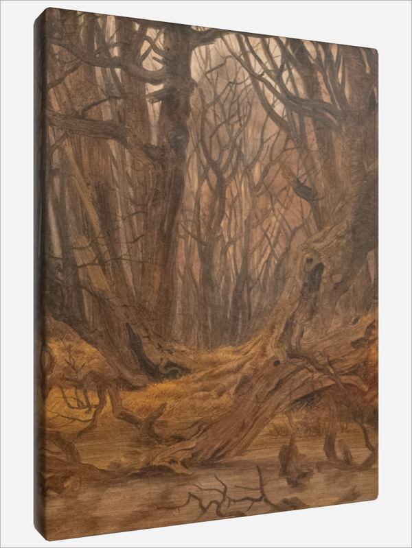 "Forest in Autumn"