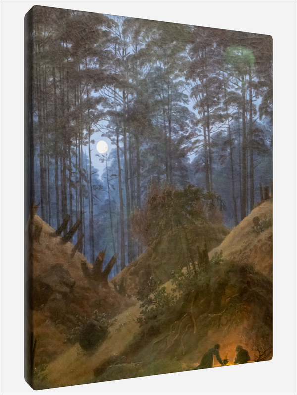 "Forest by Moonlight"