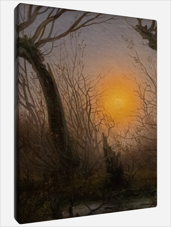 "Low hanging Sun"