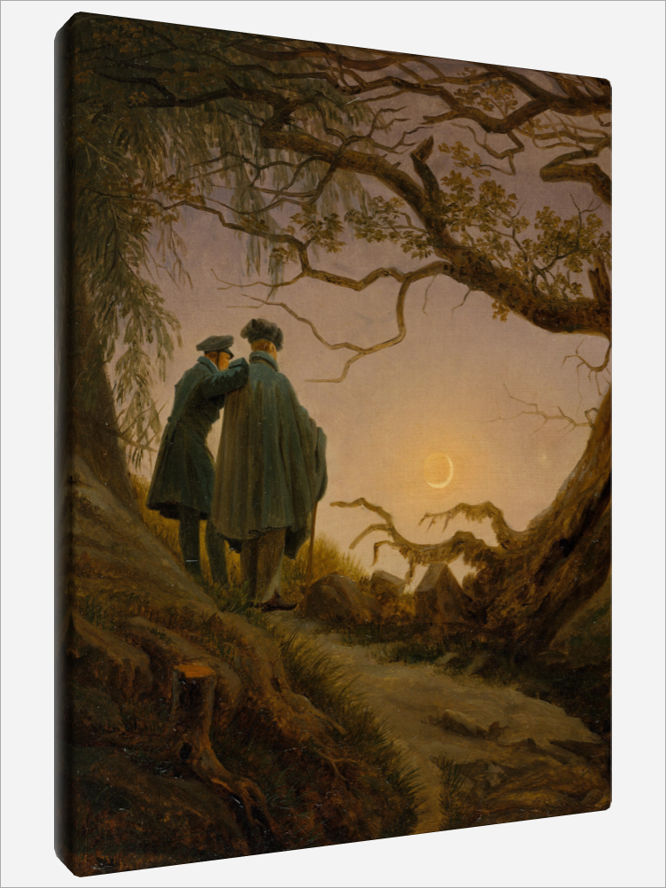 "Contemplating the Moon"