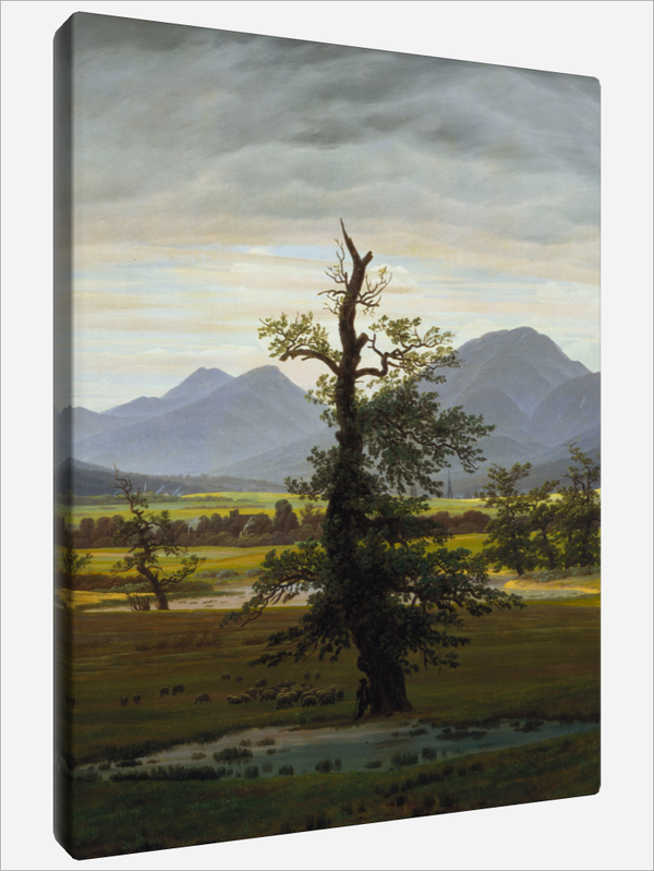 "Solitary Tree"
