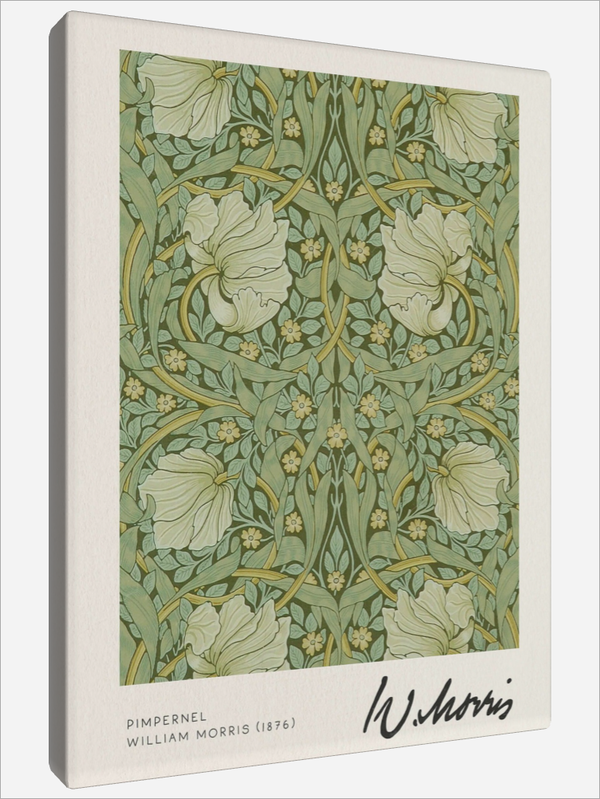 "Pimpernel"