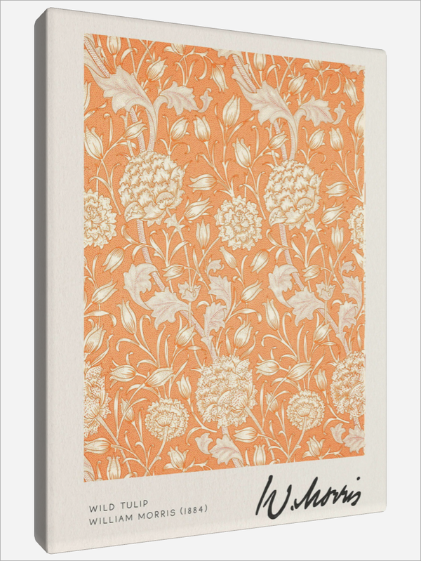 "Wild Tulip"