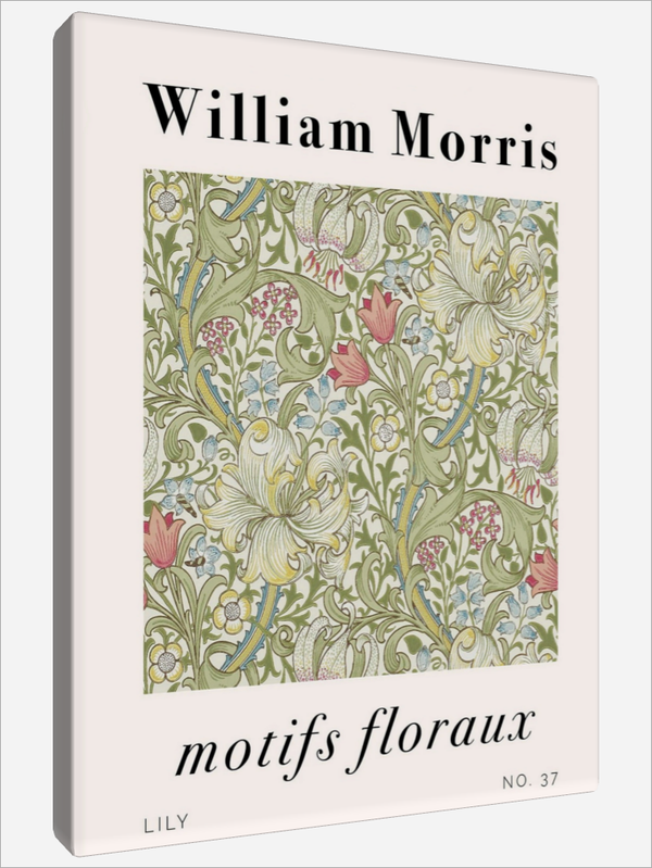 "Floraux Lily"