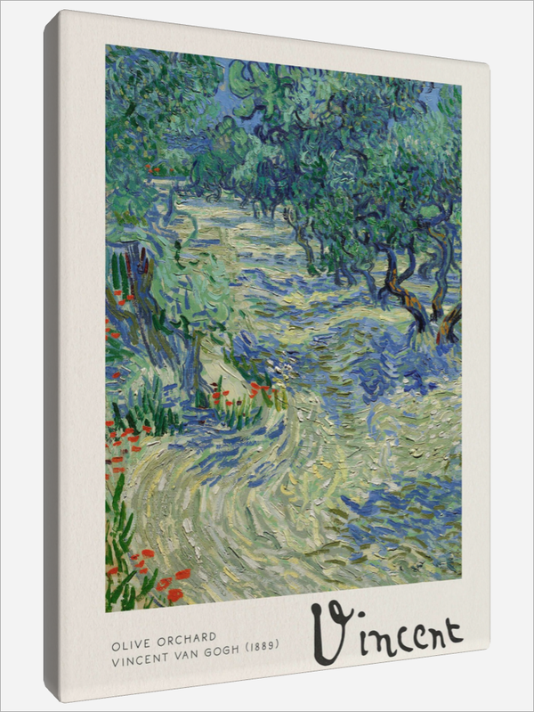 "Olive Grove"