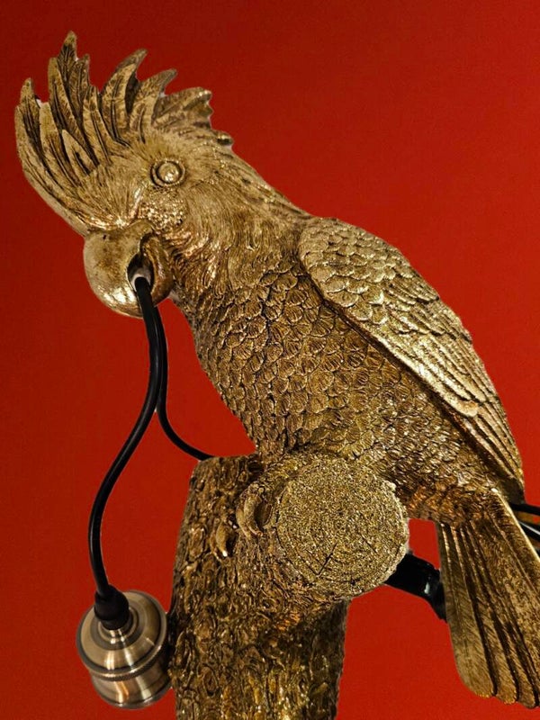 Kakadu Wandlampe