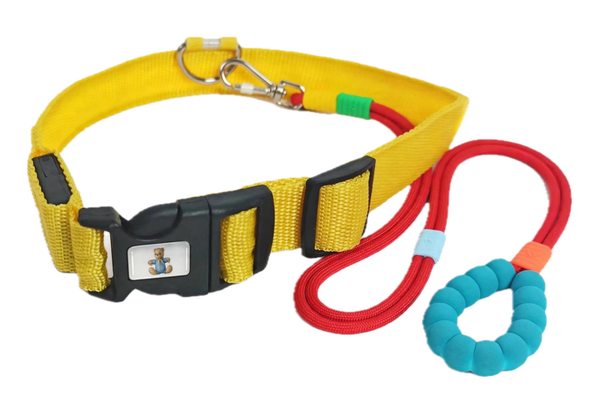 FRILLO - ULTRAPOP SET (Collare Luminoso + Guinzaglio)