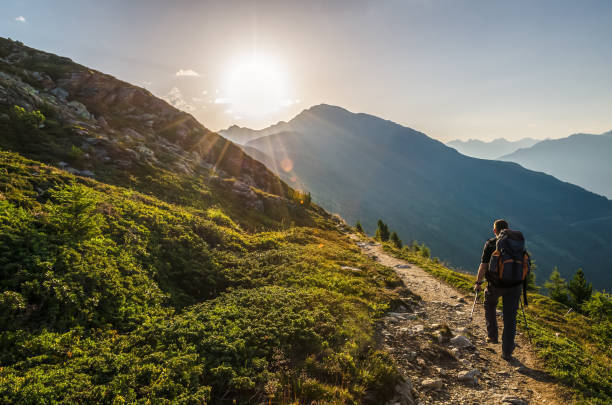 istockphoto-1054012932-612x612-standard-standard.jpg
