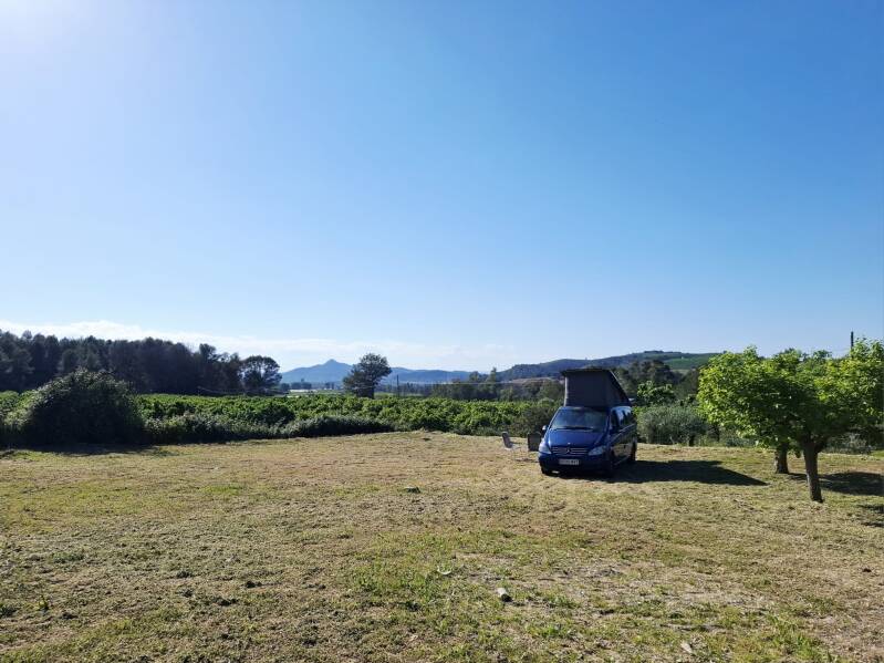 pagina-camperveld-standard-5dfr3m.jpg