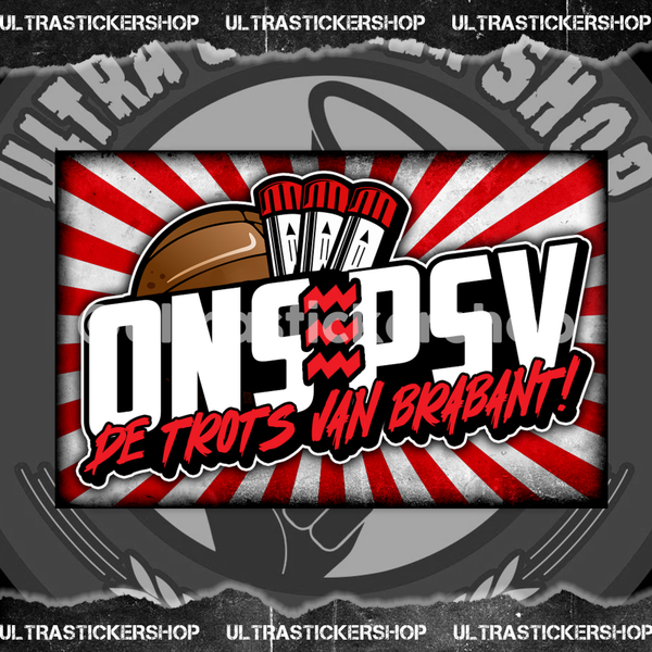 Ons PSV Flag