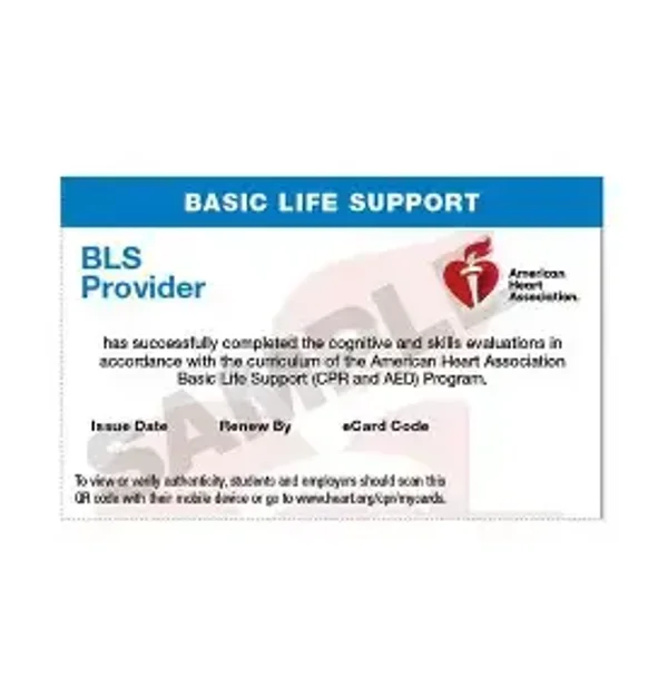 BASIC LIFE SUPPORT BLS (Copy)