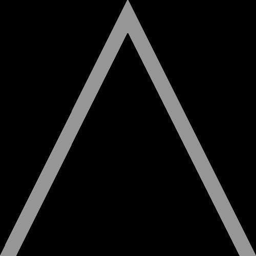 Galon de poitrine FIA