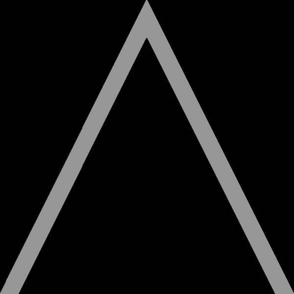 Galon de poitrine FIA