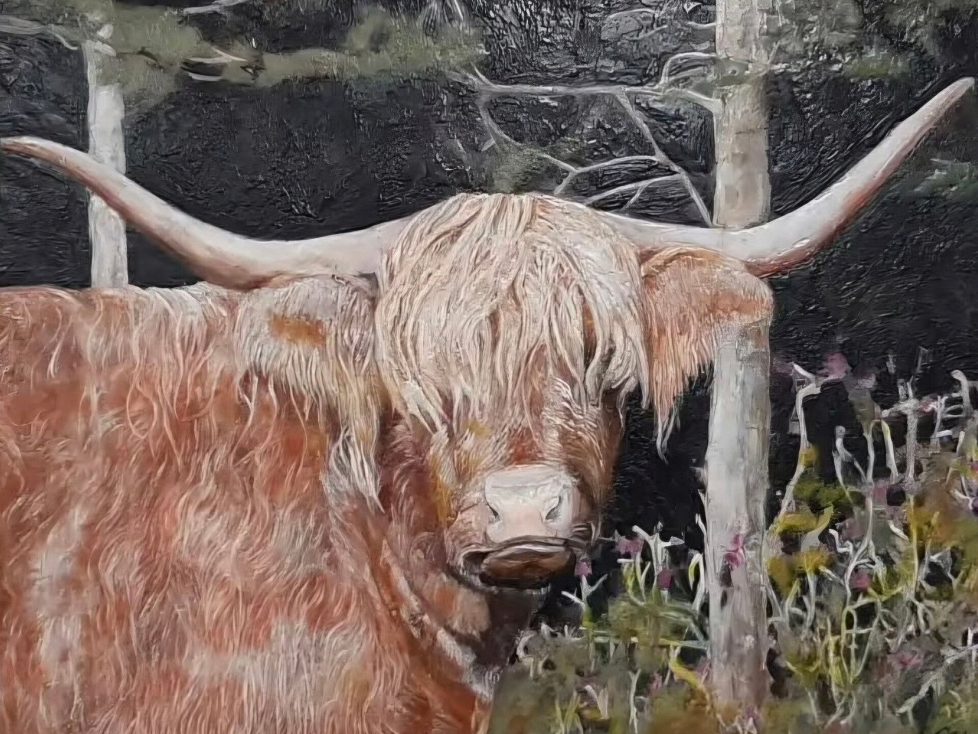 Highlander