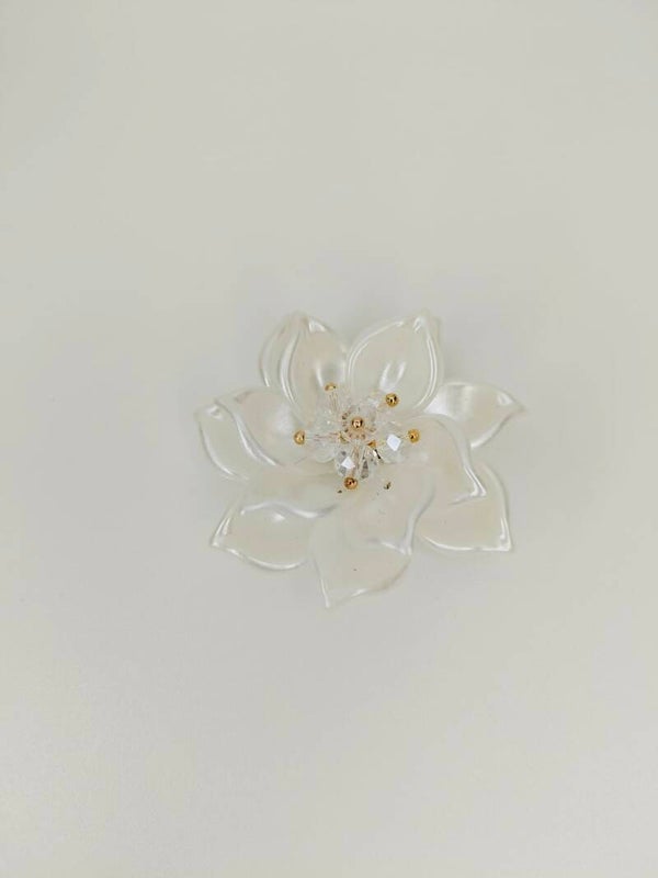 Lily Bloom