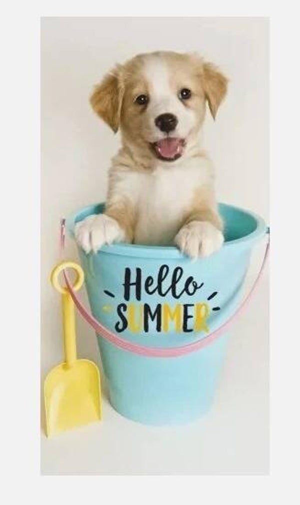 Hund Summer – Strandtuch/Badetuch 70 x 140 cm